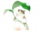 Rain Shelter Kitten Cute Wall Decor 